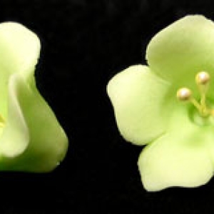 Fruit Blossom Light Green 1″ 5 Count