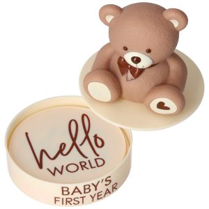 Beary First Year DecoSet Each