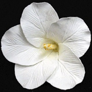 Hibiscus Flower White 3″ Each