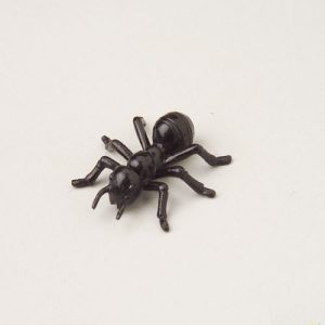 Ants 1 1/2″ 12 count