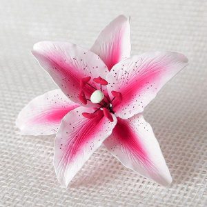 Pink Star Gazer Gum Paste 5 1/4″ Each