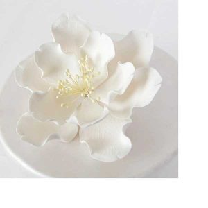 Large Open Peony White 6″ Each