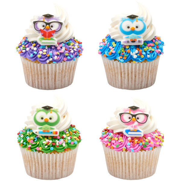 Colorful Grad Owl Dec-Ons 4 count - Image 2