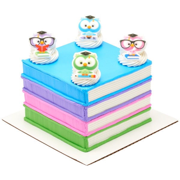 Colorful Grad Owl Dec-Ons 4 count - Image 3