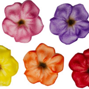 Autumn Blossoms Pressed Sugar Decorations 10 count