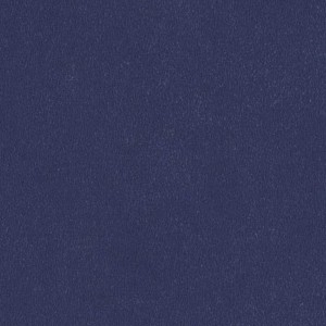 Dewy Iris FDA Luster Dust 3.5 gram Each