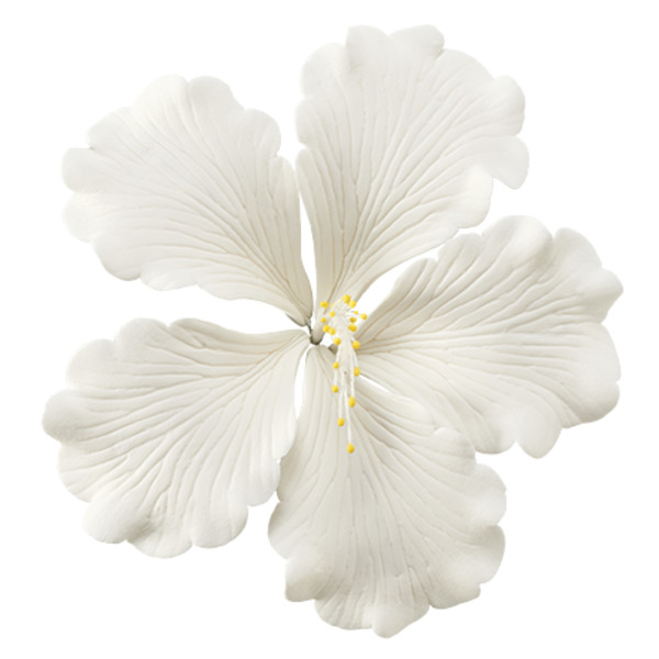 Hibiscus White Gum Paste Each