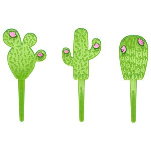 Cactus Assortment DecoPics 12 count