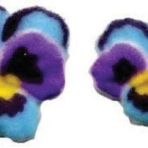 Pansies Dec-Ons 1 1/4″ 12 CT