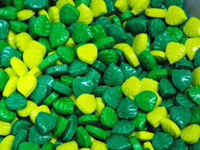 Monstera Leaf Sprinkles 6 oz