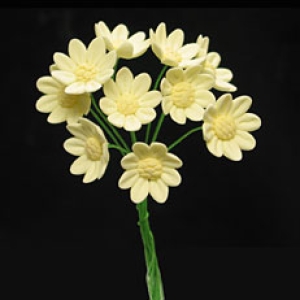 Daisy Mini Bunches Yellow 10 Flowers per Bunch