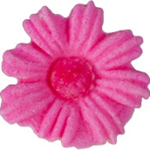 Daisies Small Pink 6 Count